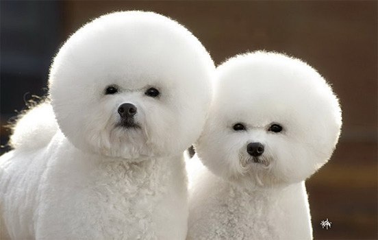 Маришка Аскандарова | Ростов-на-Дону