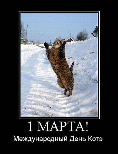 №49, Олесь Никулин, 36 лет, Тольятти №49, Олесь Никулин, 36 лет, Тольятти