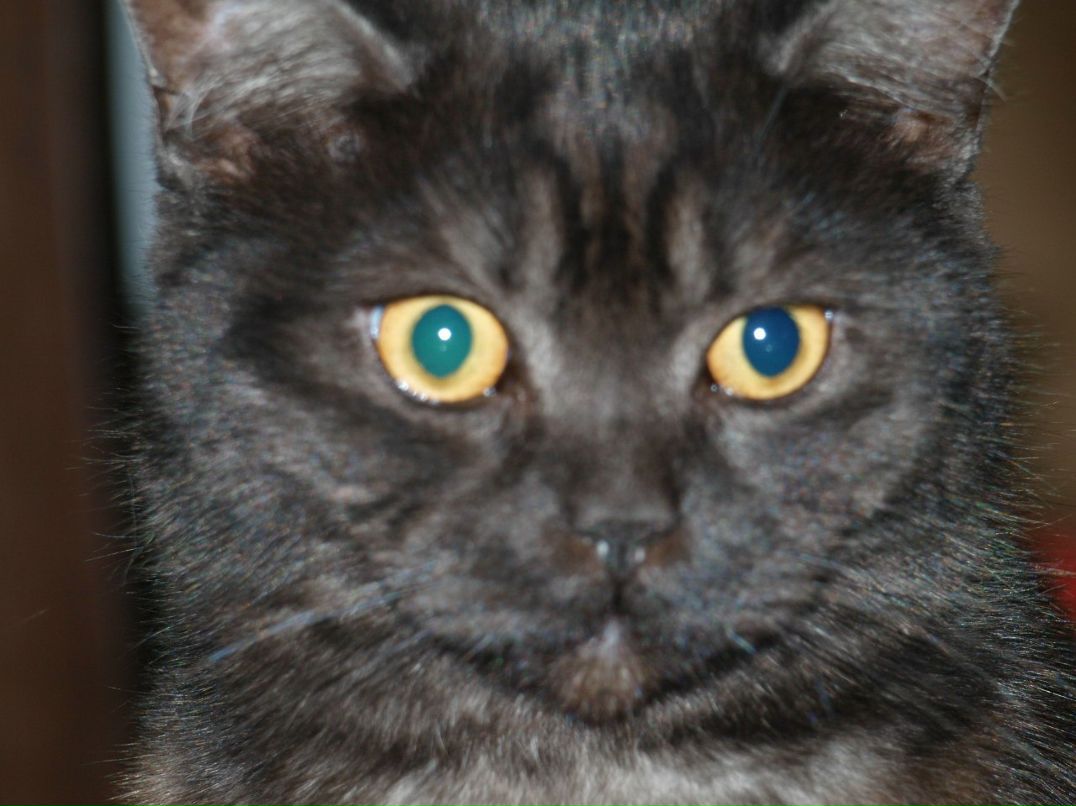 Ярослав Влах | Краснодар