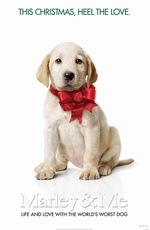 №66, Леля Анатолиевна, Святотроицкое / Урицкое №66, Леля Анатолиевна, Святотроицкое / Урицкое