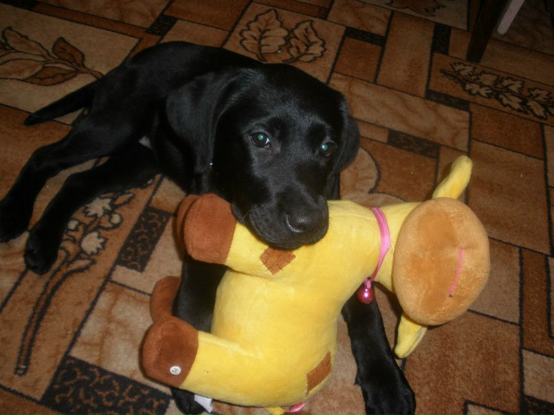 Паша Байков MerLiN | Москва