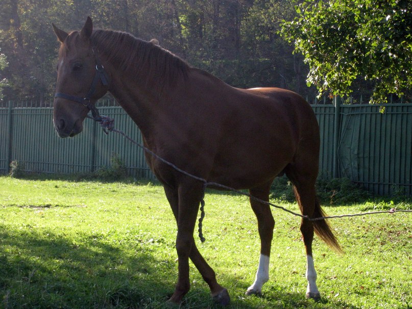 Маргарита Линькова | Москва