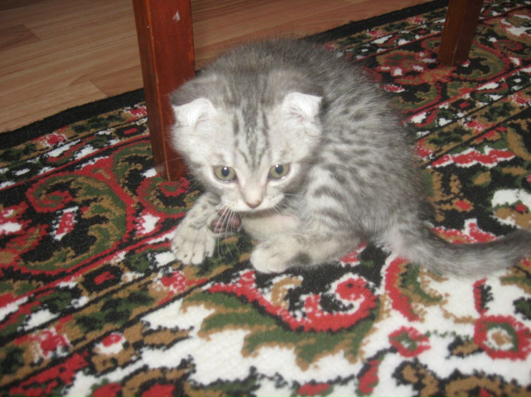 Валя Кужельная | Минск