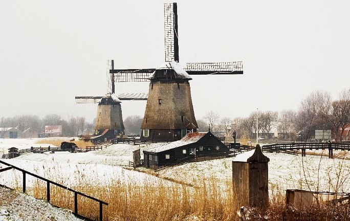 Яна Поршнева | 