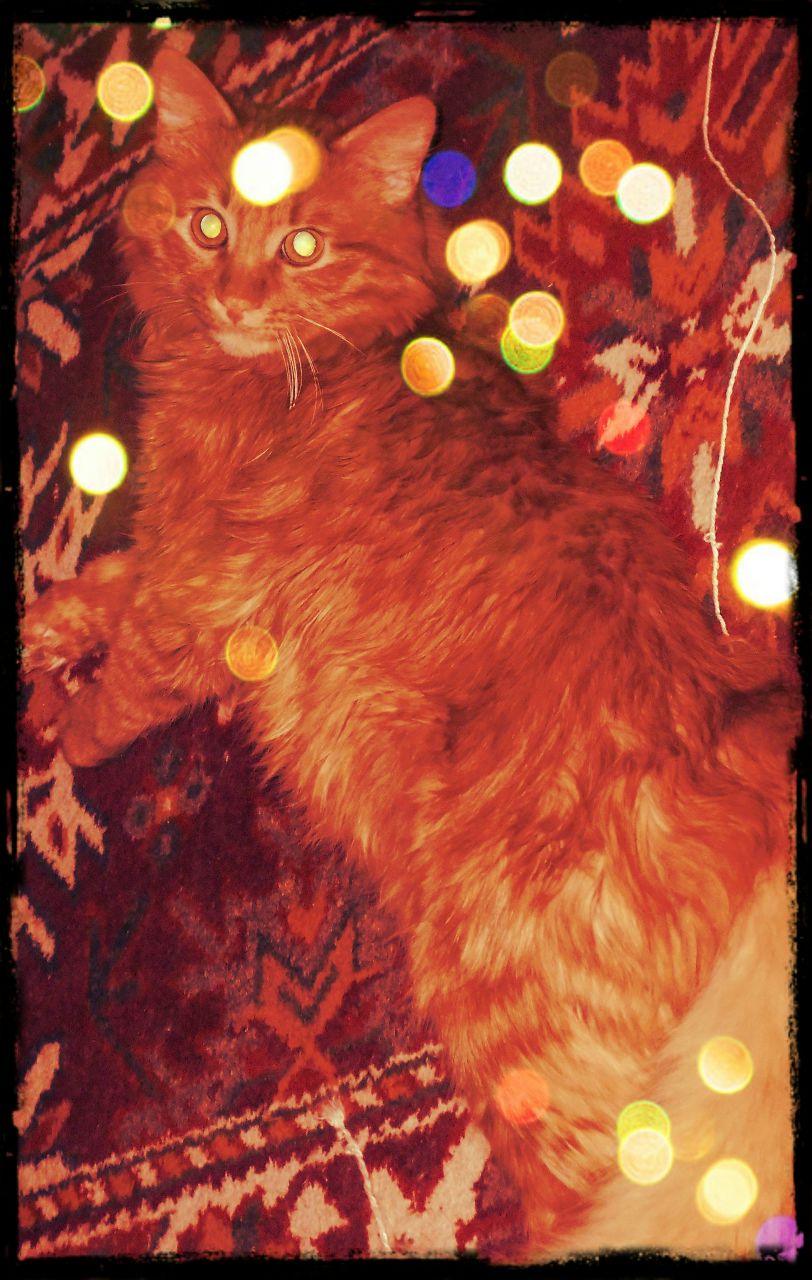 Ольга Годына | Москва