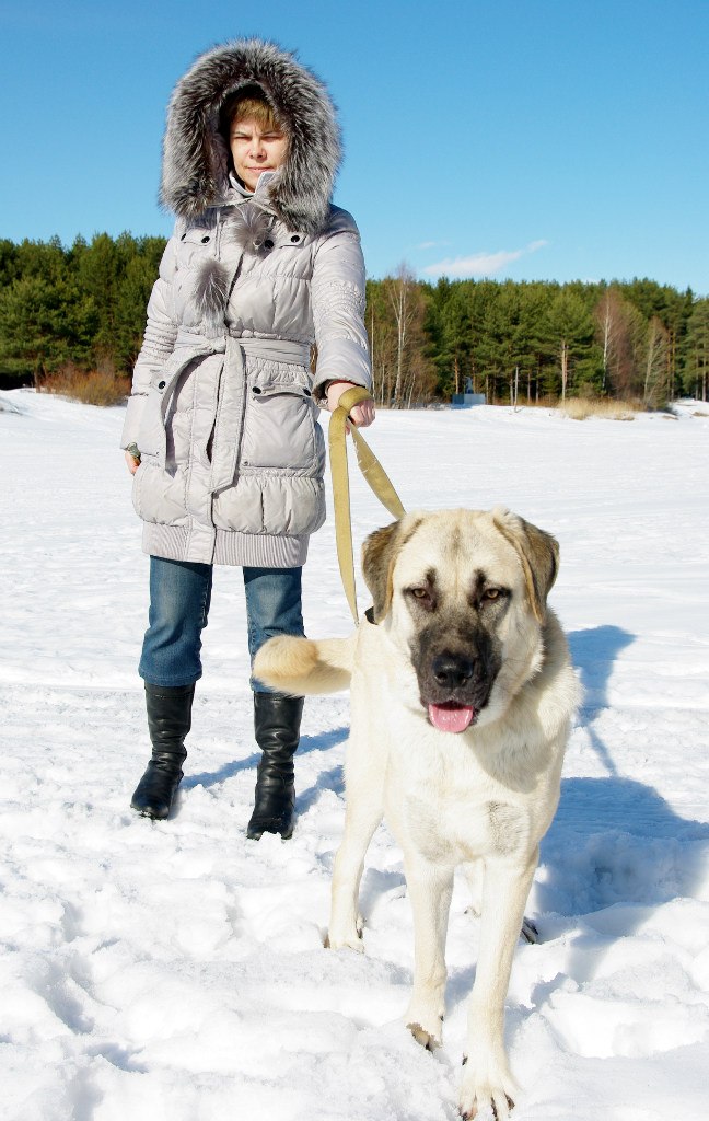 Дмитрий Андреев | Череповец