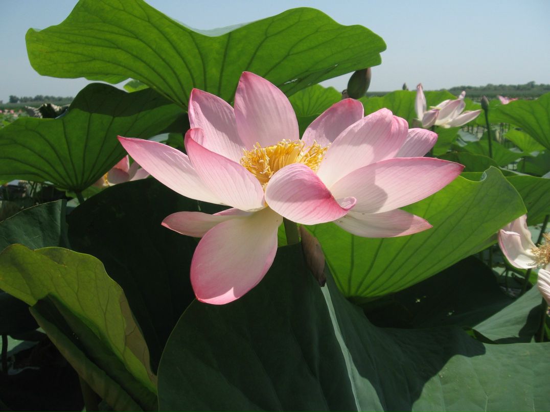 Тамара Еремина | Санкт-Петербург