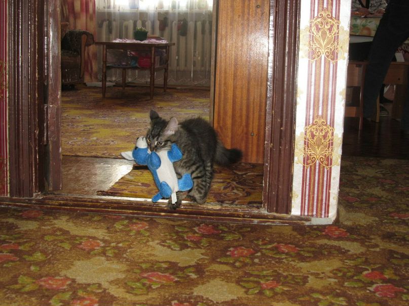 Наташа Ласкина | Санкт-Петербург