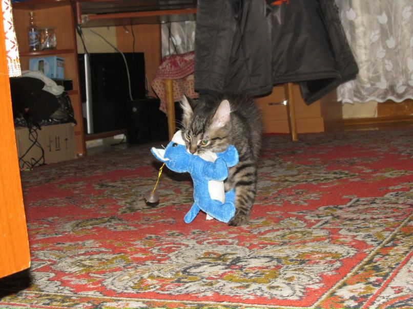 Наташа Ласкина | Санкт-Петербург