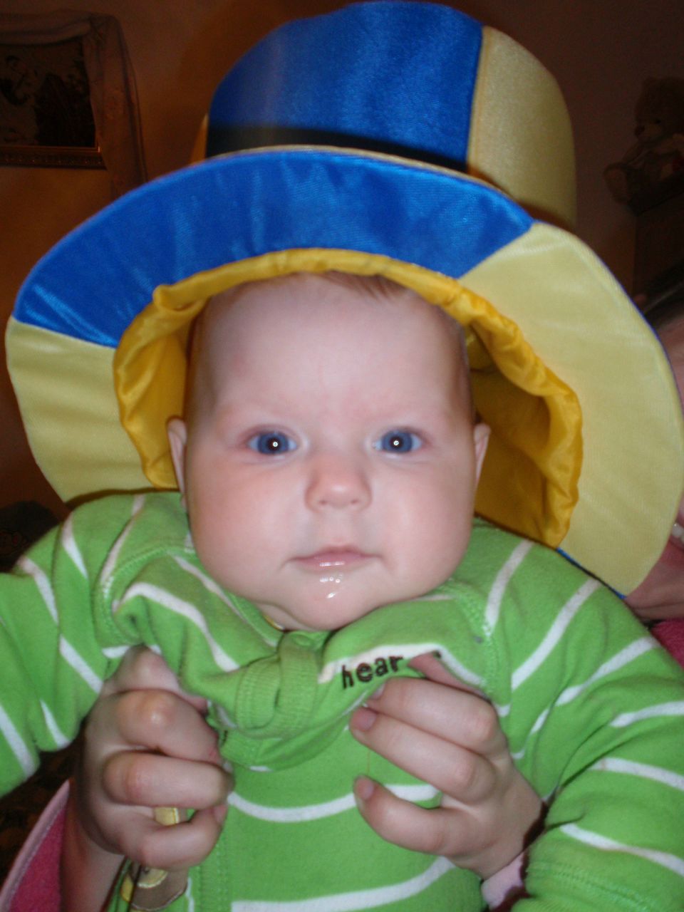 Роман Процик | Львов