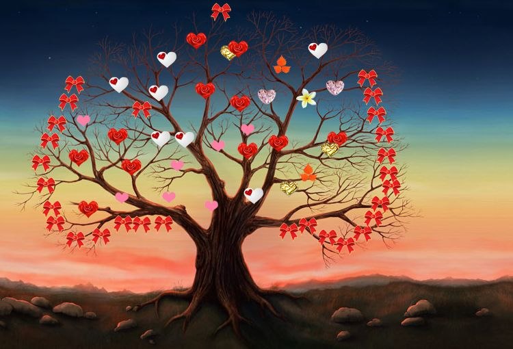 Арина Кудрявцева | Нифантово