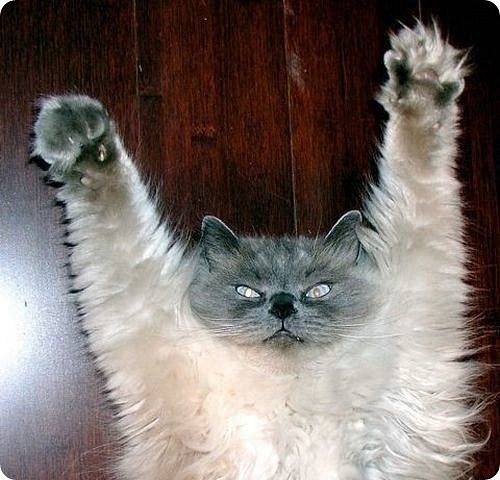 №88, Виктория Суворова, 46 лет, Санкт-Петербург №88, Виктория Суворова, 46 лет, Санкт-Петербург