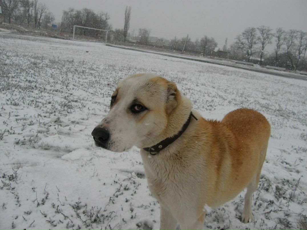 Денис Доманский | Херсон