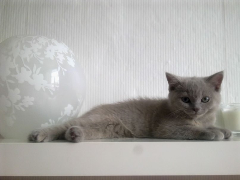 Гуля Файзуллина | Москва