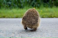 №38 Марина Березина : профиль, фото, статус - ВКонтакте