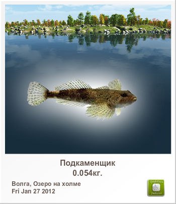 Сергей Филиппов интернет кровопийца | Москва
