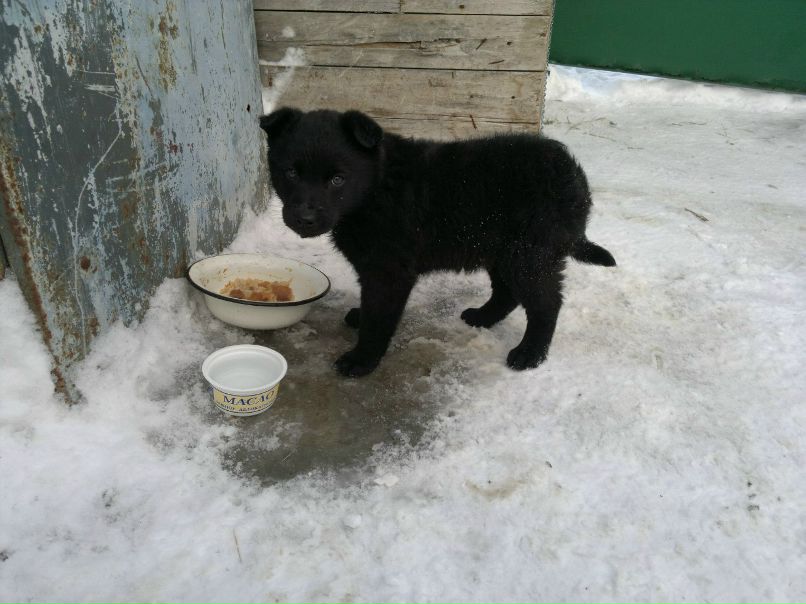 Максим Егоров | Казань