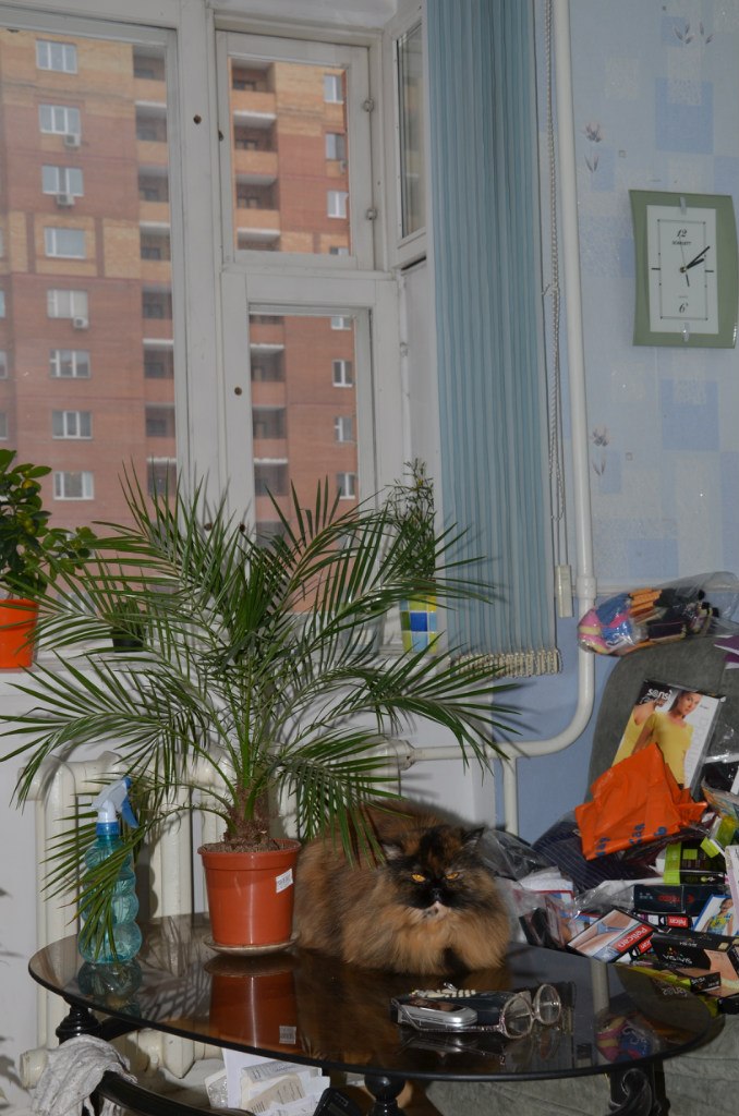 Николай Никонов _Юрич_ | Тюмень