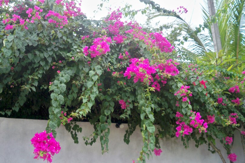 Елена Левченко | Бердянск