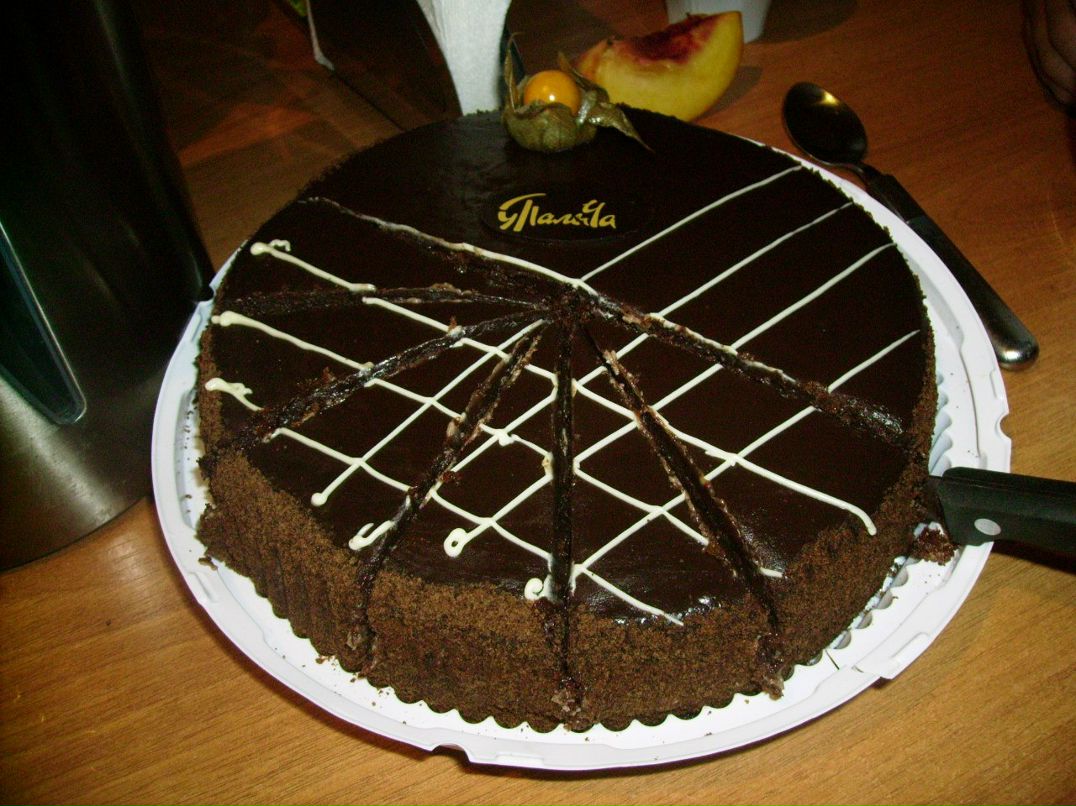 Инга Шкода | Ростов-на-Дону