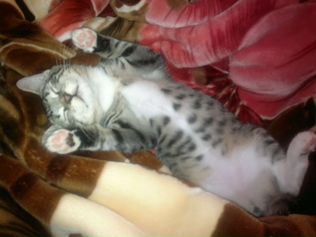 Кира Ионова | Москва