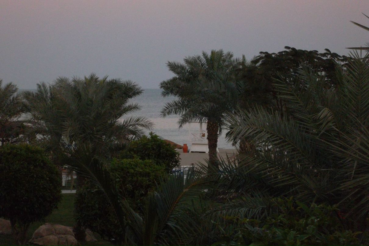 Юлия Миронова | Фрязино