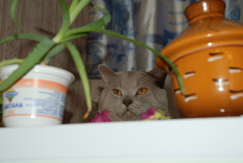 Эльвира Крымбаева | Уфа