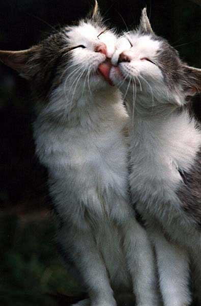 Катерина Котова ♥Katstydio♥Dj-Katriana | Одесса