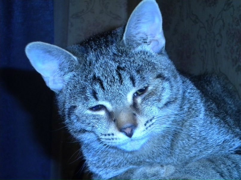 Любовь Орлова | Москва