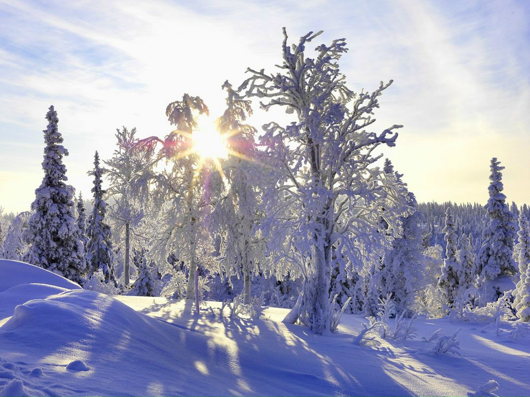 Иван Ширшиблев | Киров