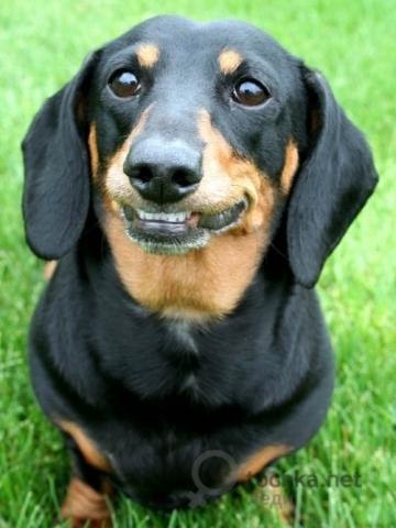 Татьяна Матвеева | Москва