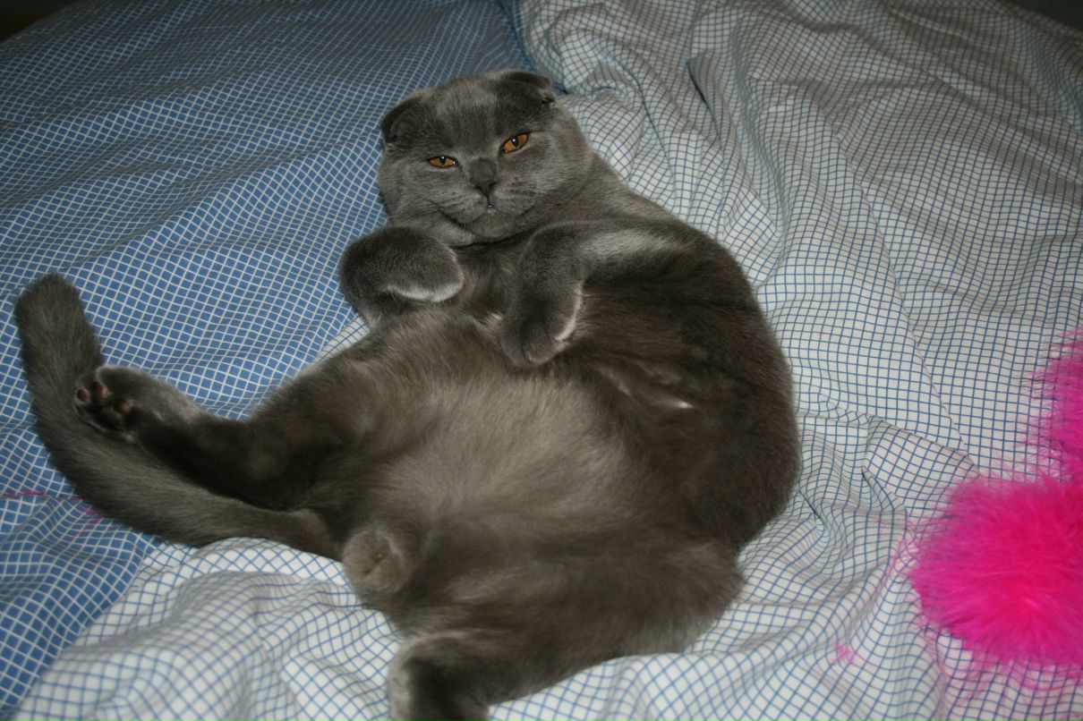 Яна Весенняя | Москва