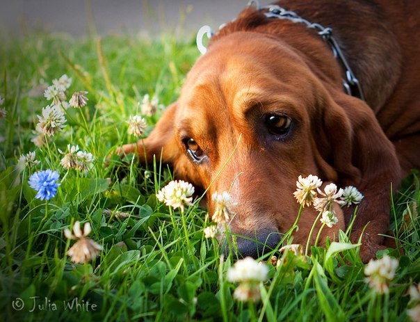 Макс Всемогущий | Белгород
