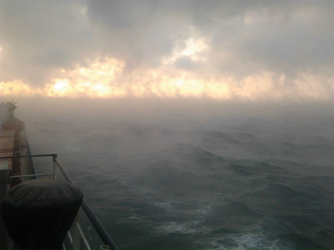 Лев Желуденко j_lion | Одесса