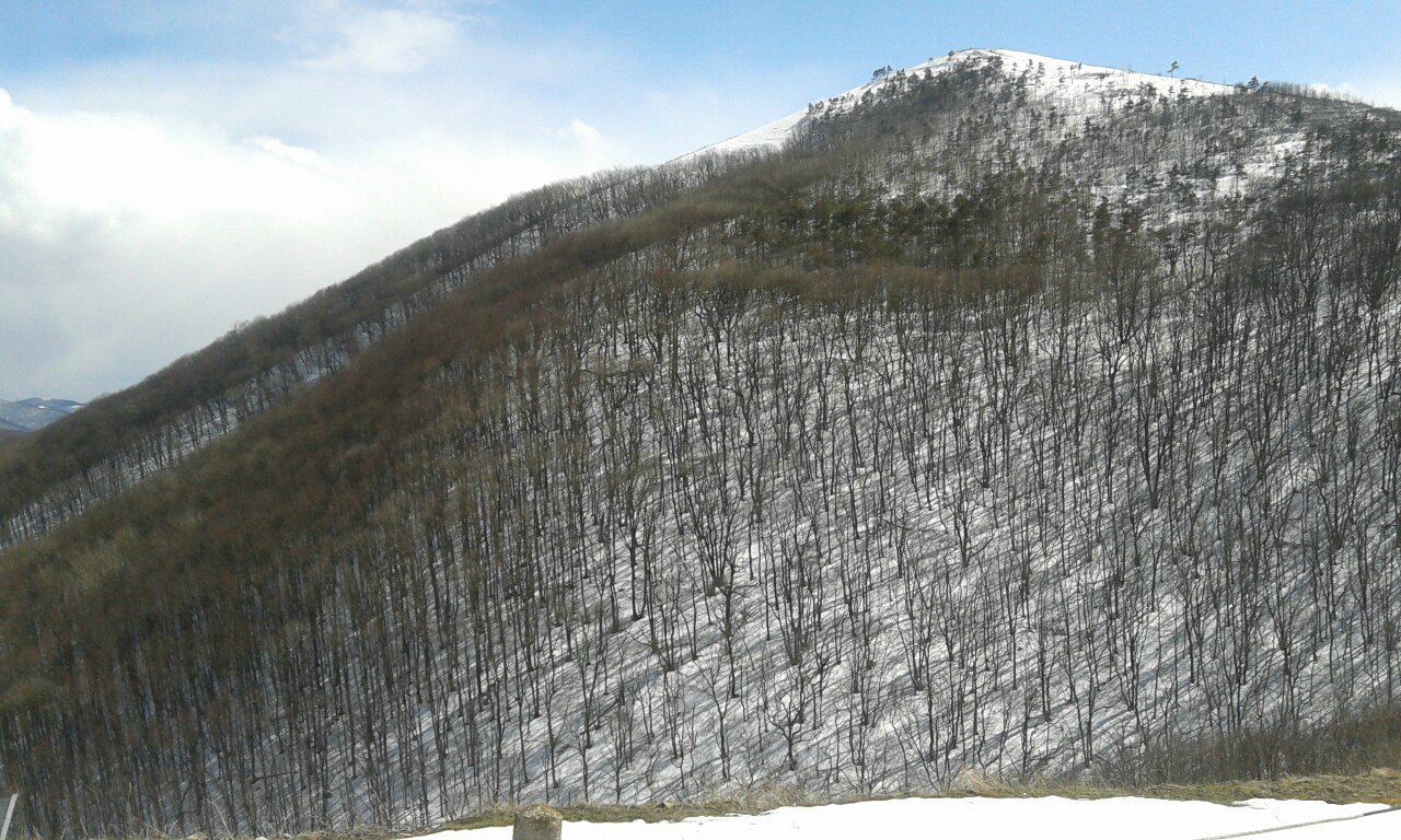 Александр Кондратович | Ивангород