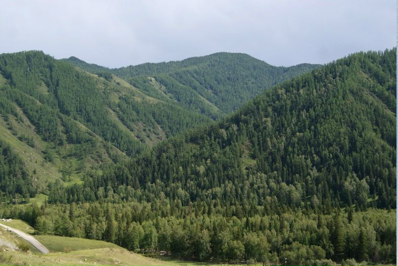 Роман Драгун | Новосибирск