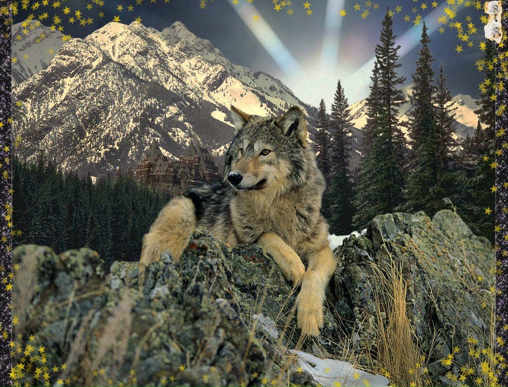 Михаил Архипкин -=SVoLo4=- | Горловка