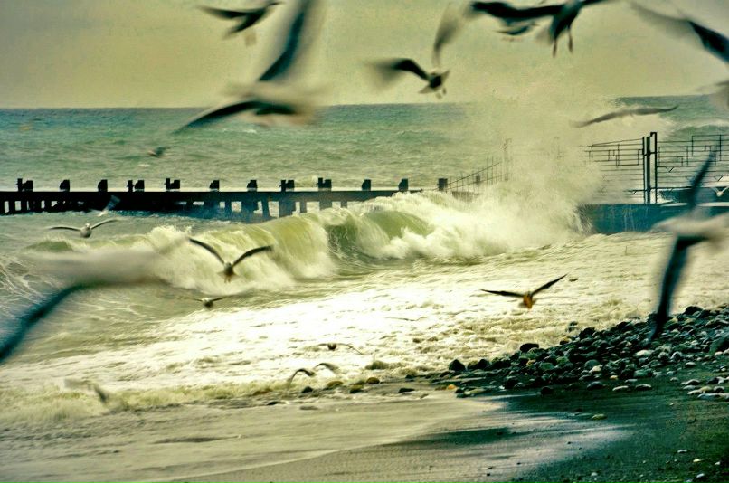 Арина Гладкова | 