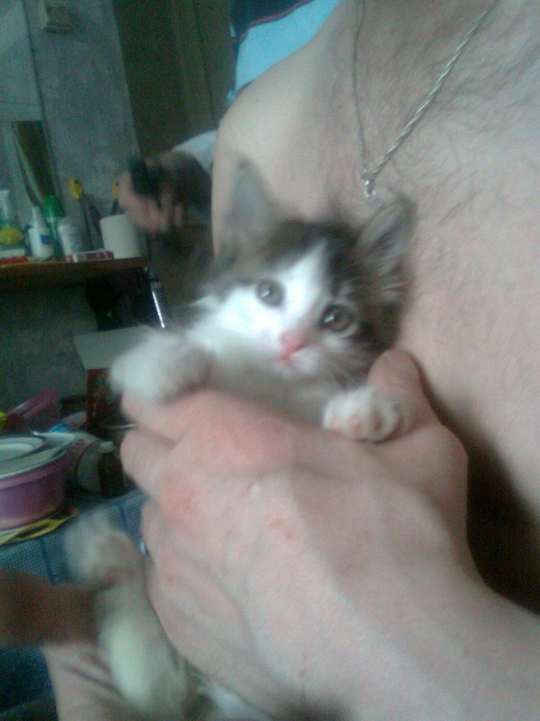 Наталья Коробова Евгеньевна | Красноярск