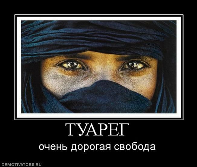 №41, Тарик Ялауи, 43 года, Красногорск №41, Тарик Ялауи, 43 года, Красногорск