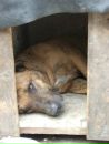 №4 Ванечка Шевчук 13.08: профиль, фото, статус - ВКонтакте №4 Ванечка Шевчук 13.08: профиль, фото, статус - ВКонтакте