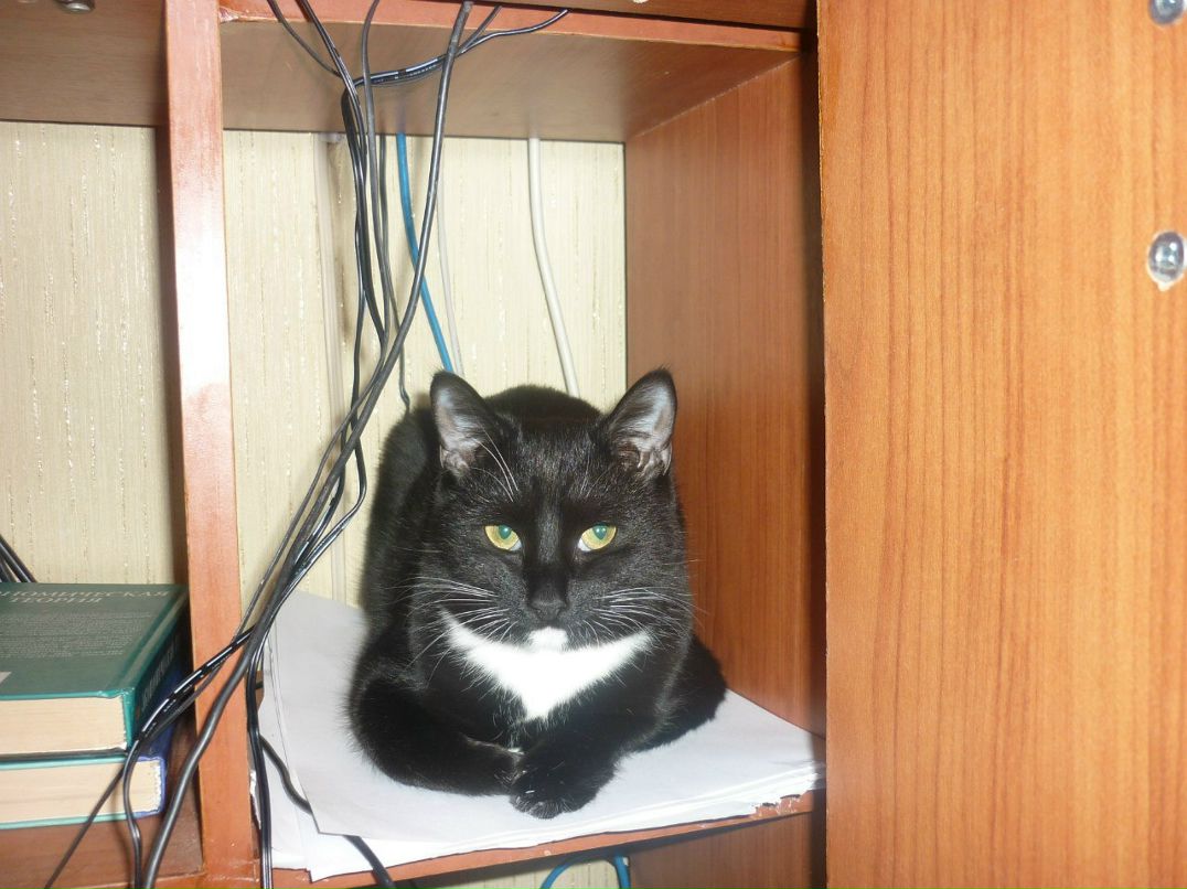 Елена Рябкова | Набережные Челны