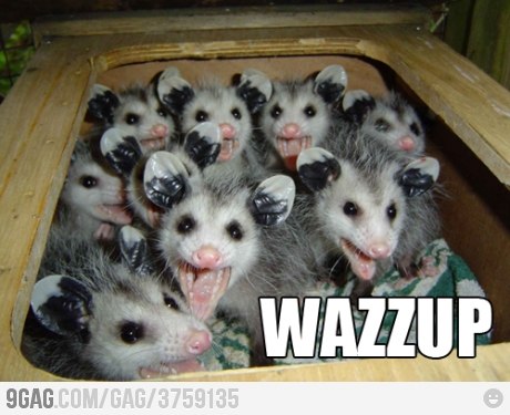 №127, Аполлон Тумбочкин №127, Аполлон Тумбочкин