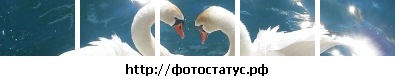 Вероника Ширванова фото со стены #4