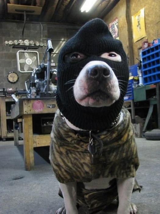 Ленар Мустафин ˙·٠•●๑۩ nigmat ۩๑●•٠·˙ | Альметьевск