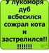 Иван Сорокин фотография #3