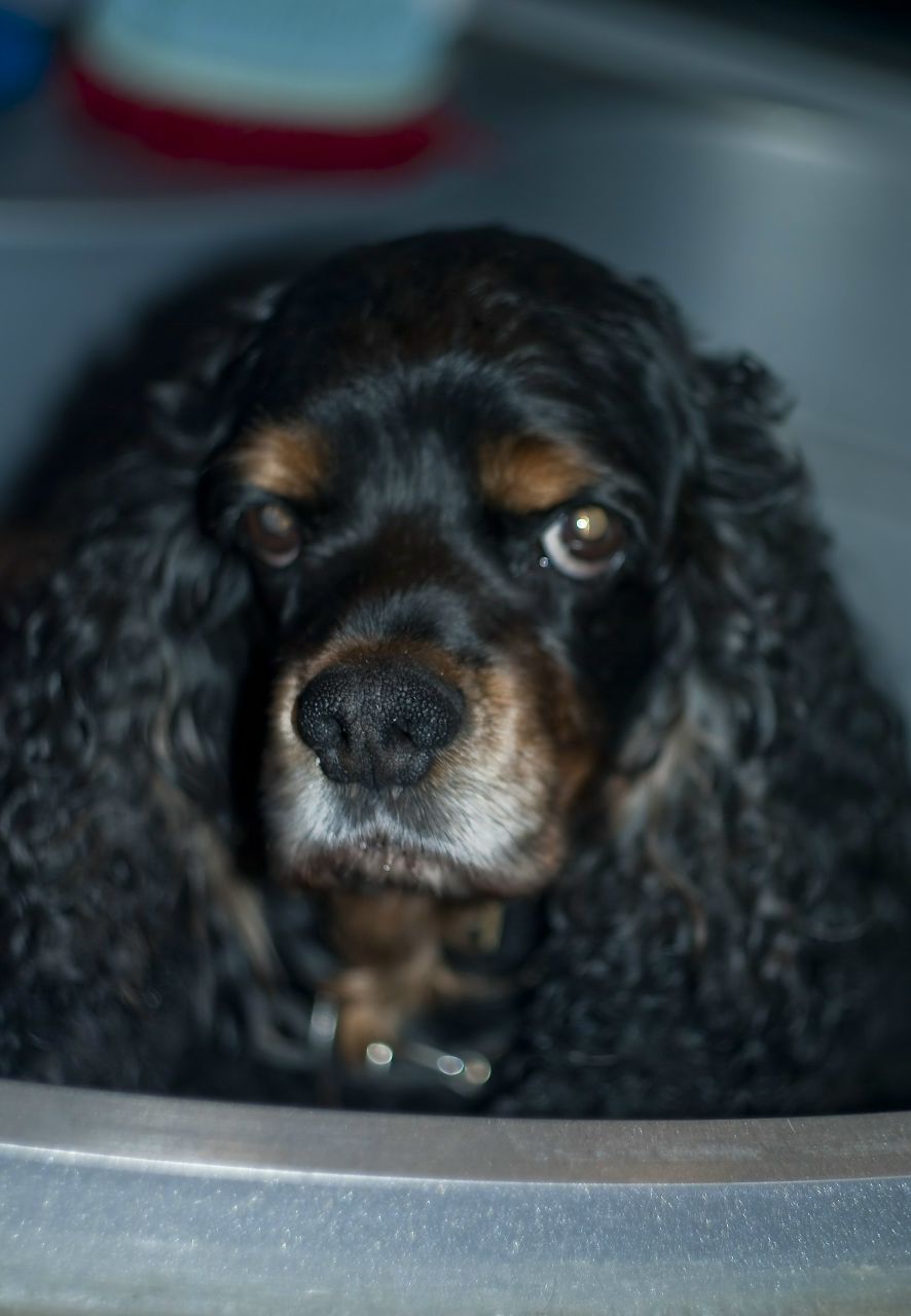 Влад Блинов | 