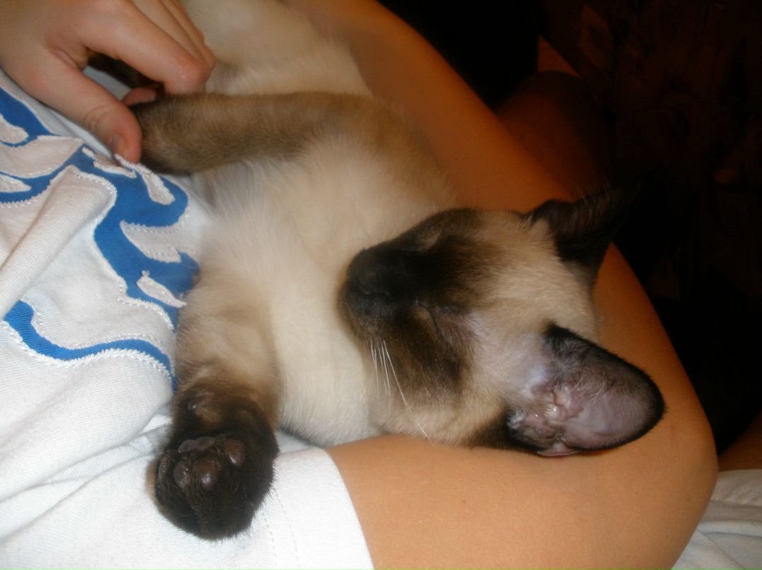 Наташа Иванова | Санкт-Петербург