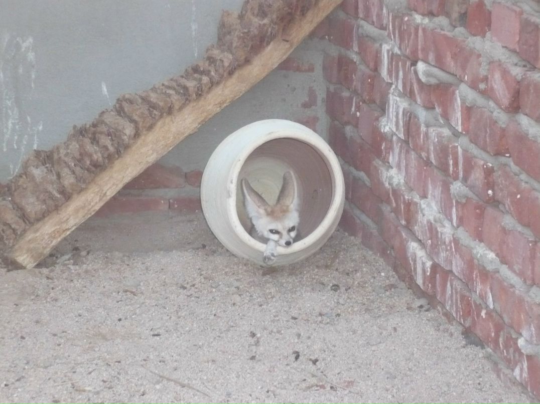 Ирина Гильванова | Киров