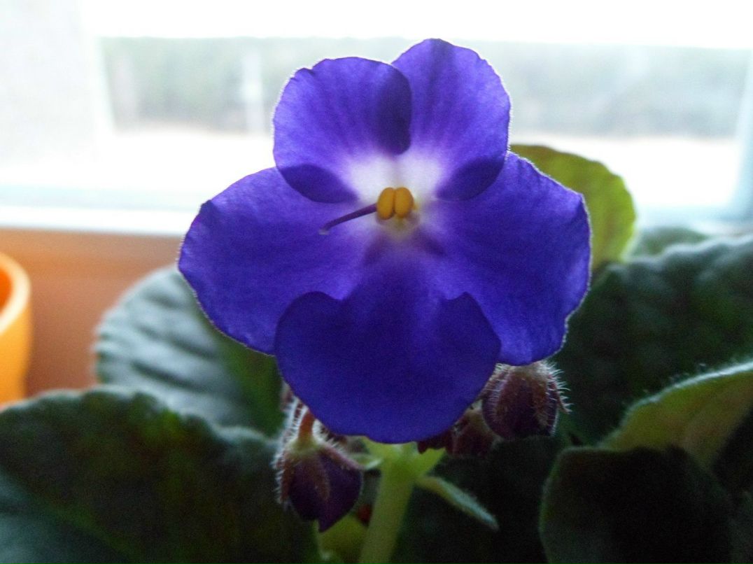 Наташа Михалькевич | Лида